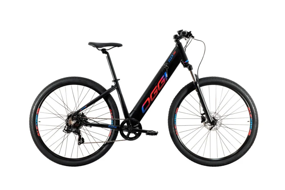 oggi flex 200