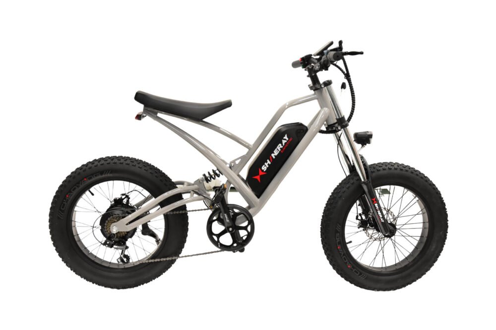 shineray se-bike cinza
