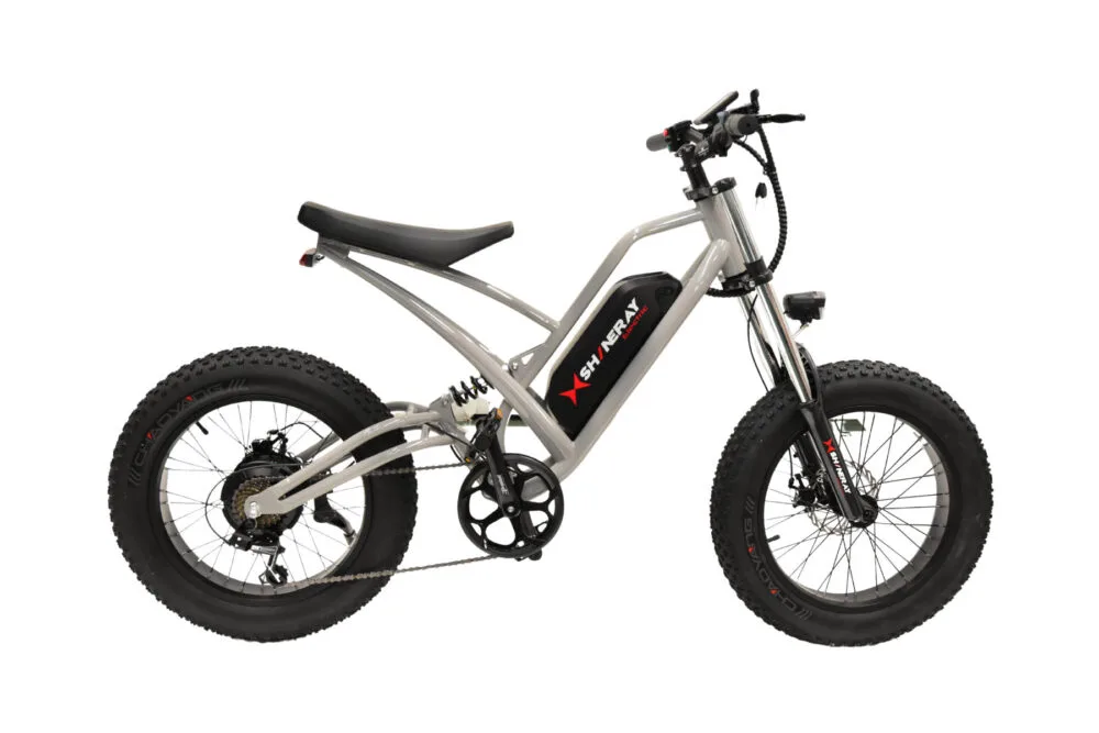 shineray se-bike cinza