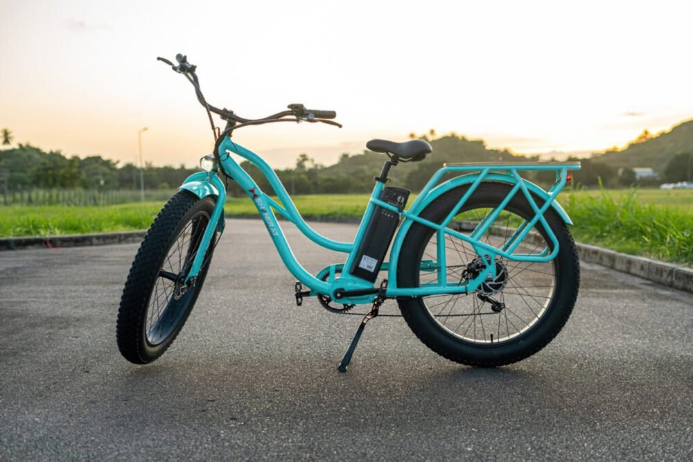 shineray shi-bike
